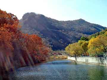 新澳天天开奖资料大全旅游团，赛马论坛